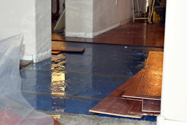 Professional Basement Flood Cleanup technician working in Lyndora, PA